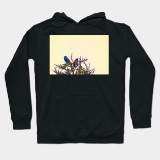 A Starling Couple Hoodie